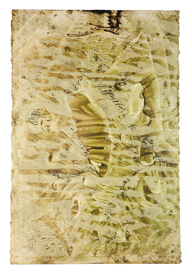 chontaduro papel 11.jpg